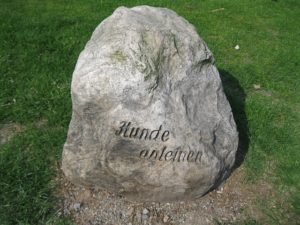 Hund anleinen