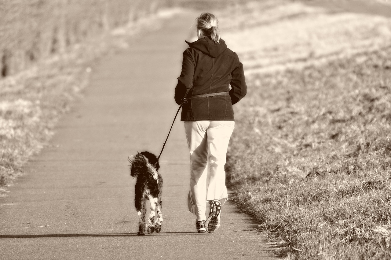 walken mit hund