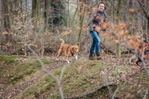 wandern mit hund