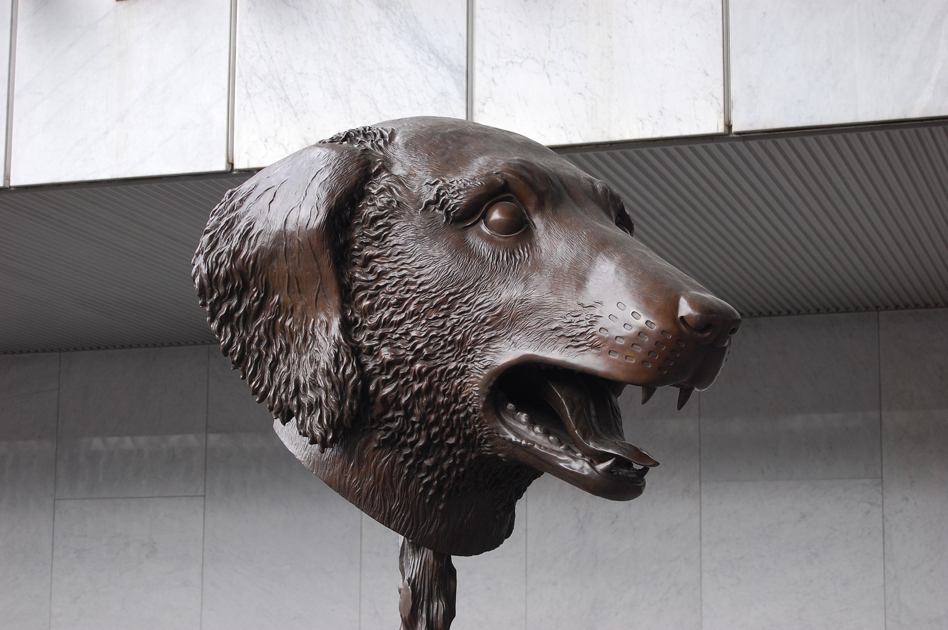 Museum Mit Hund In Der Nähe Hund im Museum - Schnauzentrip