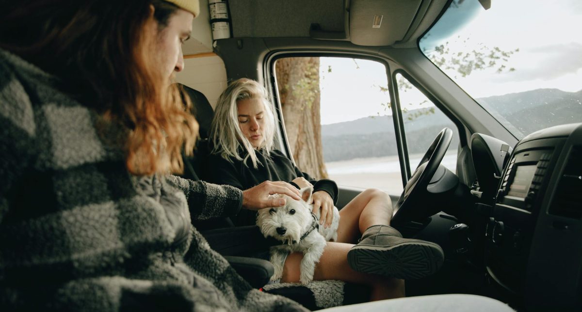 Mit Hund im Auto