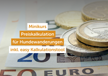 Preiskalkulation für Hundewanderungen