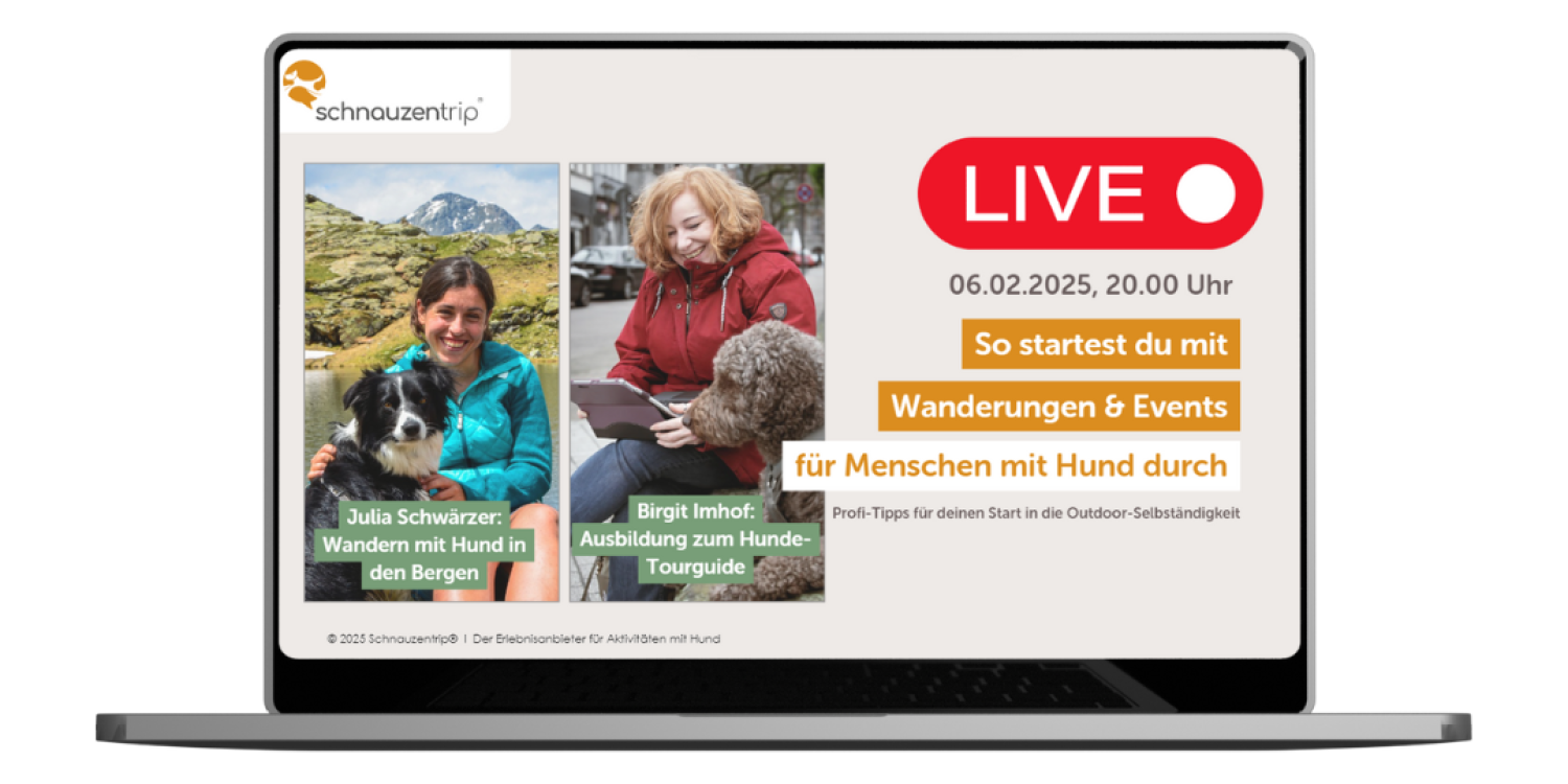 Webinar Hunde-Freizeitaktivitäten